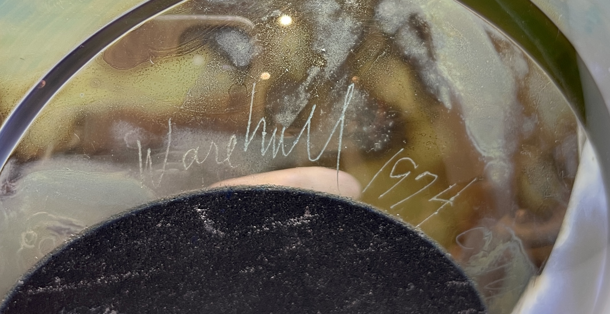 William Warehall Signature